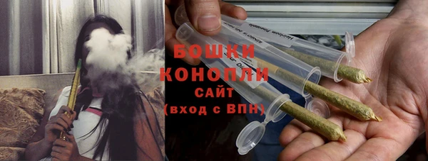 индика Иннополис