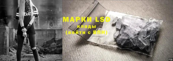 индика Иннополис