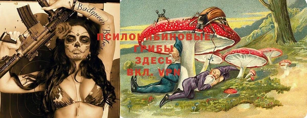 индика Иннополис
