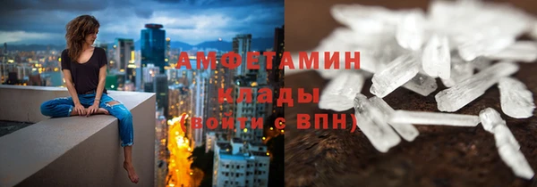 индика Иннополис