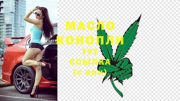 трава Инта