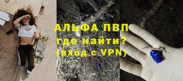 трава Инта
