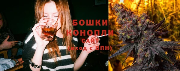 молекула духа Инсар