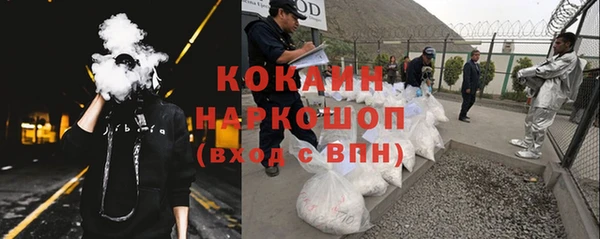 трава Инта