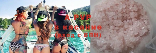 индика Иннополис